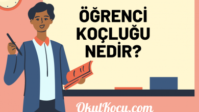 eğitim koçluğu nedir