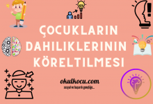 Çocukların Dahiliklerinin Köreltilmesine Neden Olan Faktörler