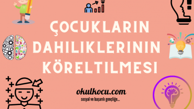 Çocukların Dahiliklerinin Köreltilmesine Neden Olan Faktörler